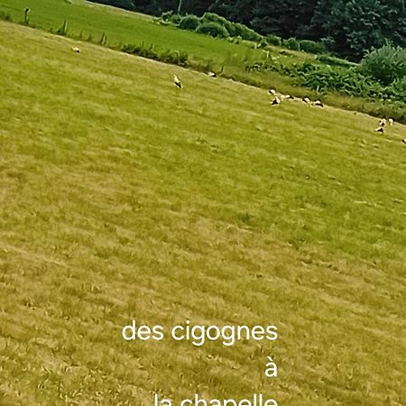 Guiguitte Lejlighed La Chapelle-les-Luxeuil Eksteriør billede